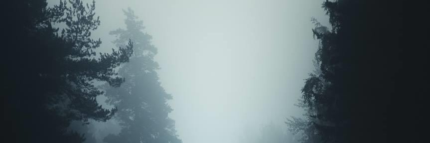 Heather banner