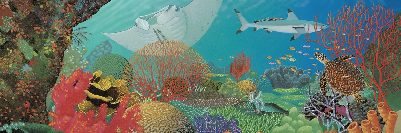 Web of Life Children's Books banner