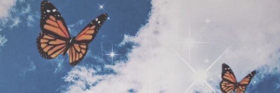 CasssHunsinger's profile banner image