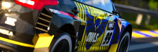 OWLSeSports_ Profile Banner