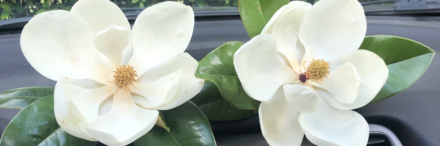 arrie_beth's profile banner image