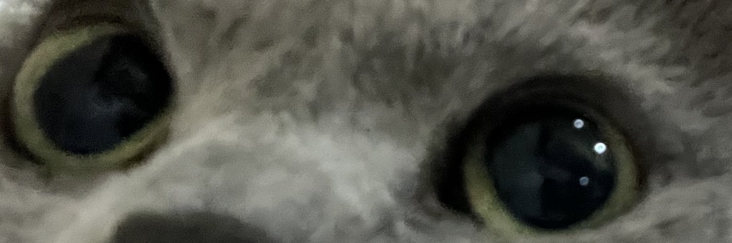 _estehtawar__'s profile banner image