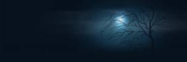 nick witmer banner