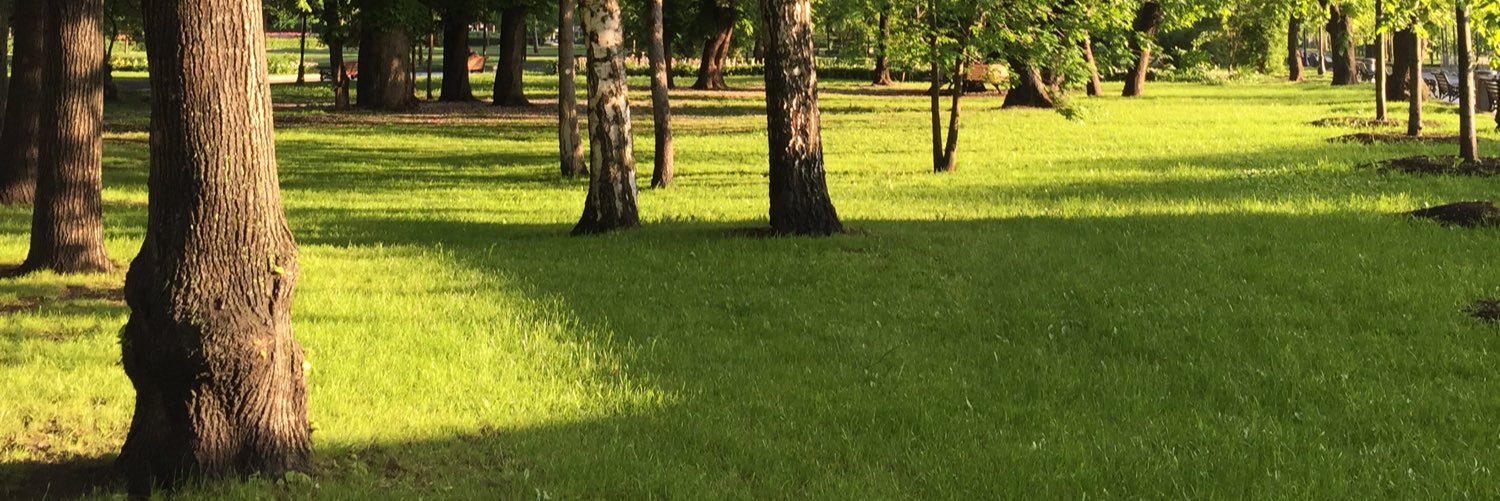 SunNast's profile banner image