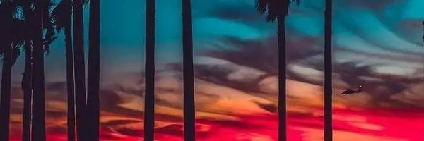 Alexisfloresm10 Profile Banner