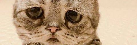 ทริป•|เหนื่อย|• banner