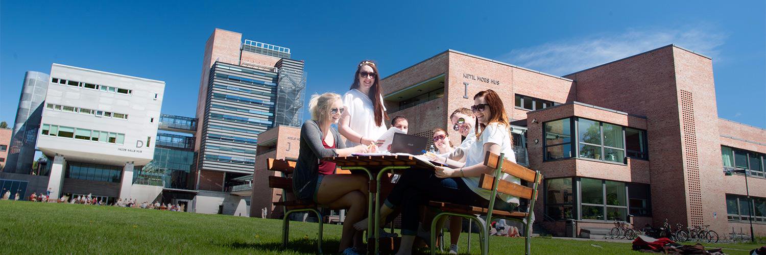 Universitetet i Agder banner