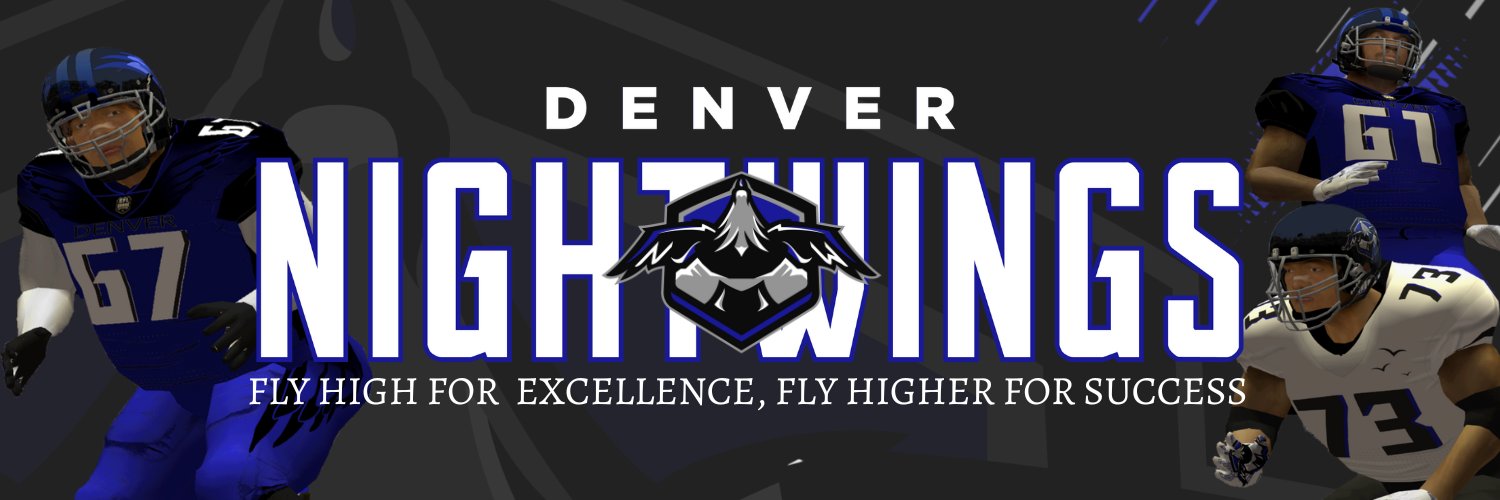 SFL_Nightwings's profile banner image