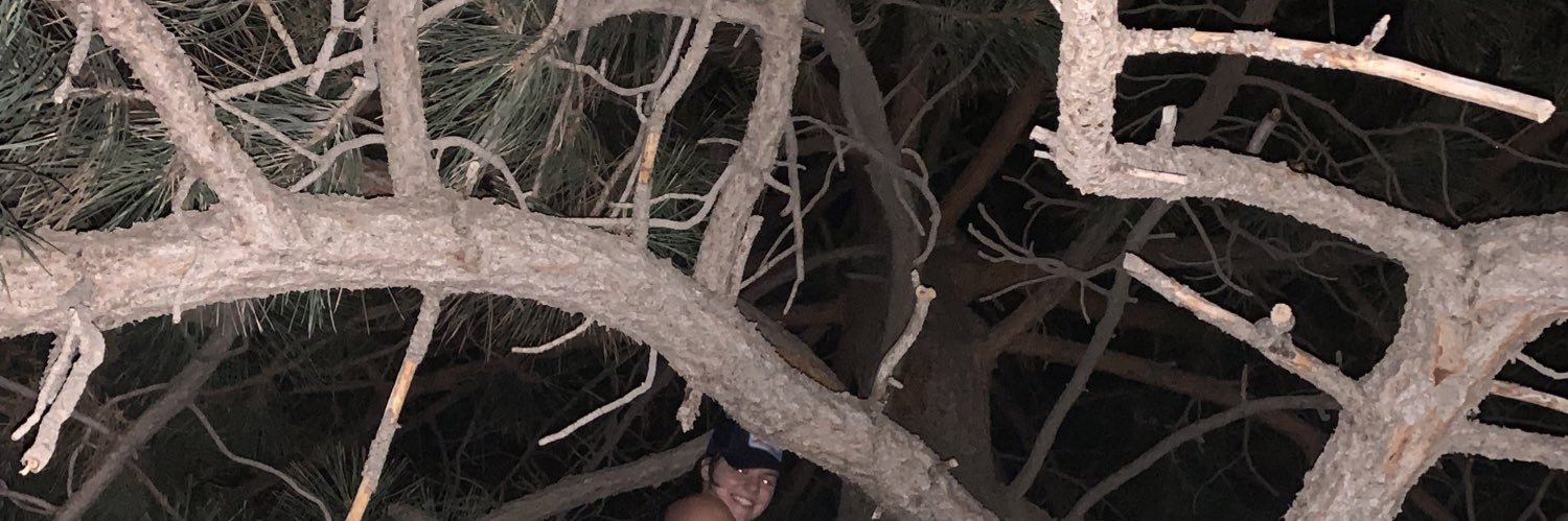 sydboycey's profile banner image