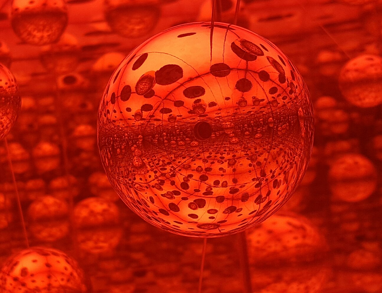 Paula Mitchell banner