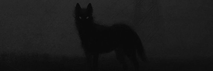 EleanorReign's profile banner image