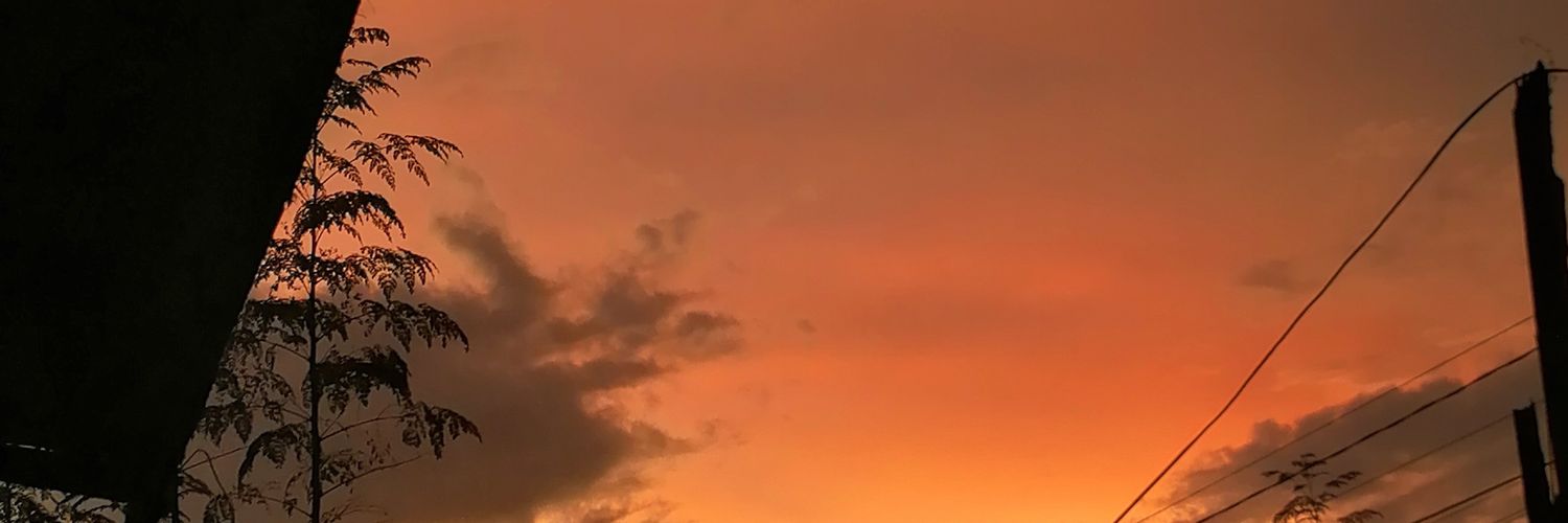 rleicmr's profile banner image