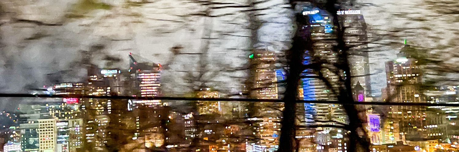 cat martin banner