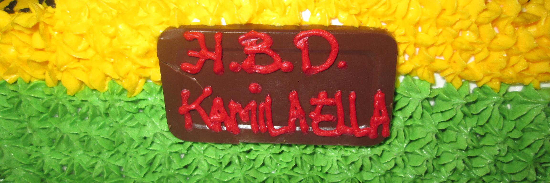 lailainayaa's profile banner image