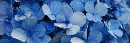 karlapegl's profile banner image