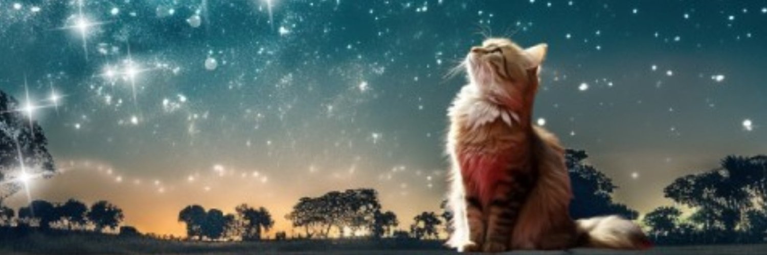 kidoro01's profile banner image