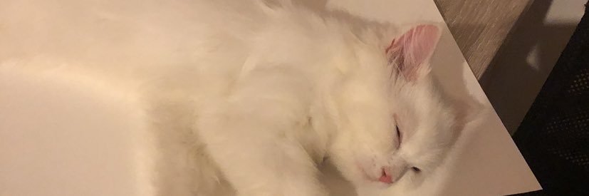 leeimni's profile banner image
