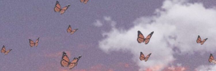 apetit13's profile banner image