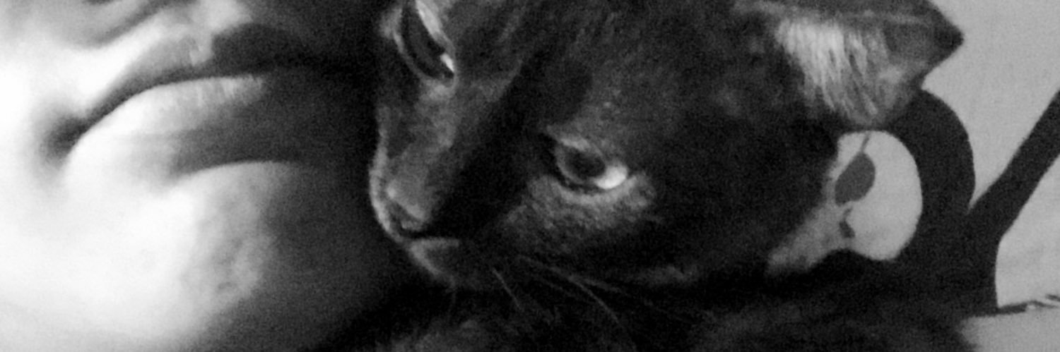 ralsgab's profile banner image