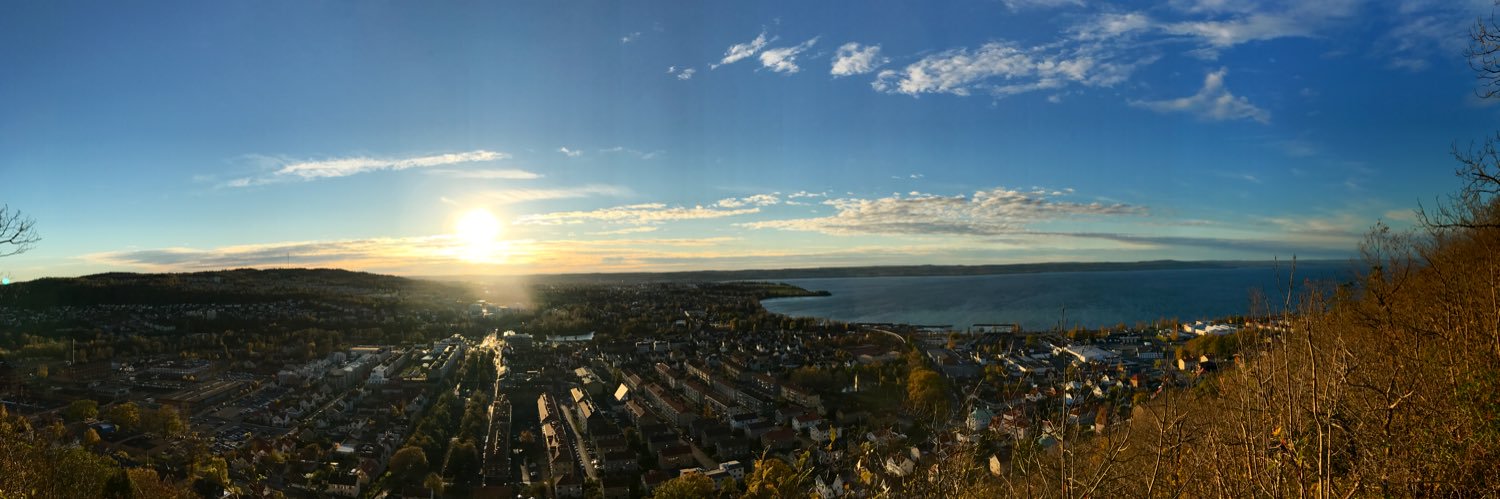 Kim Magnusson banner