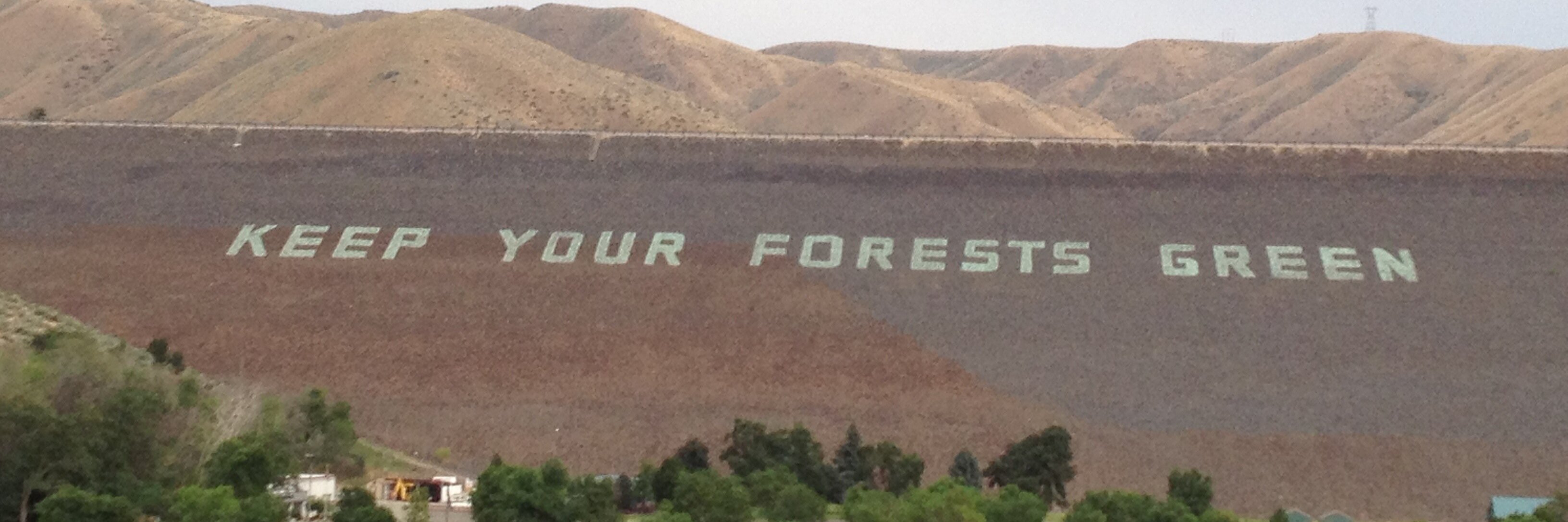 Valerie Stull banner