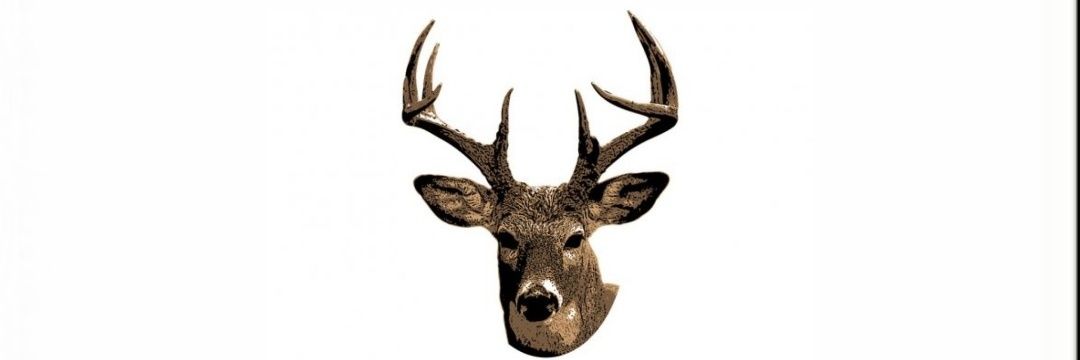 S M Martinez banner