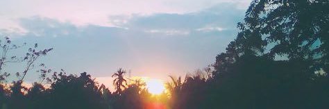 bprosefoos's profile banner image