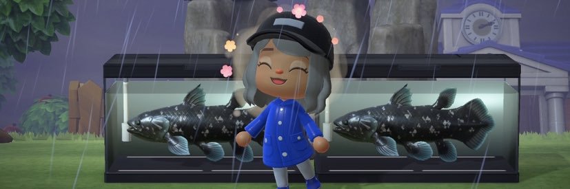 skyescacchetti's profile banner image