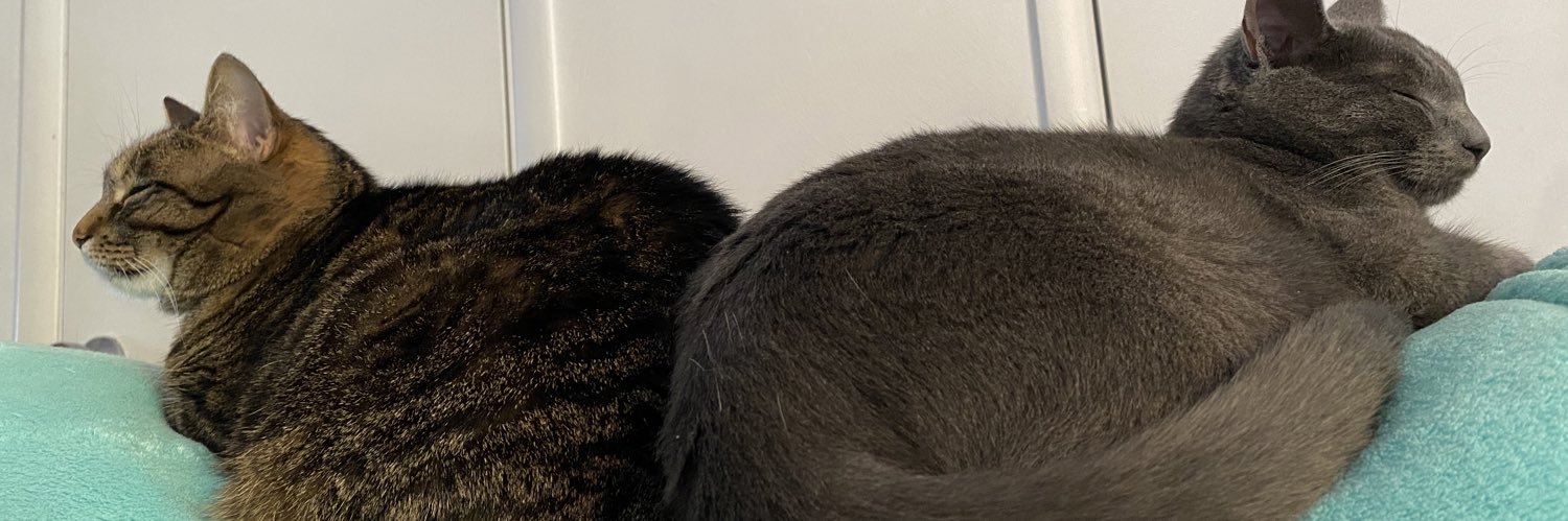 ericann96's profile banner image