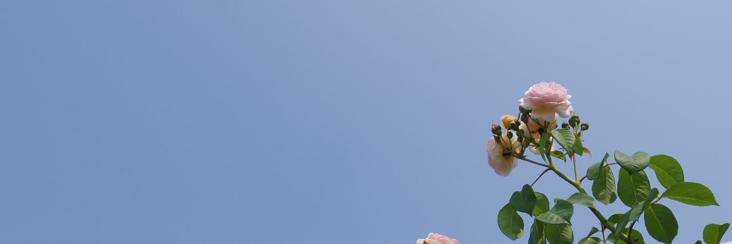 shi_yone's profile banner image