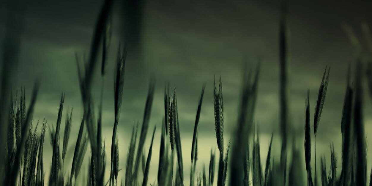 kensclark16's profile banner image