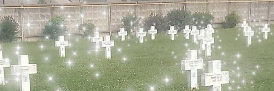 htelive's profile banner image