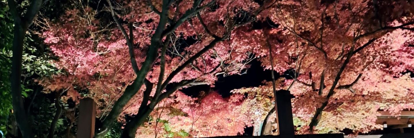 RealEliaMarin's profile banner image