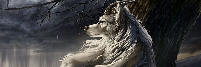 cyfarfar's profile banner image
