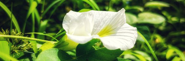 ABHIJITHaj1997 Profile Banner