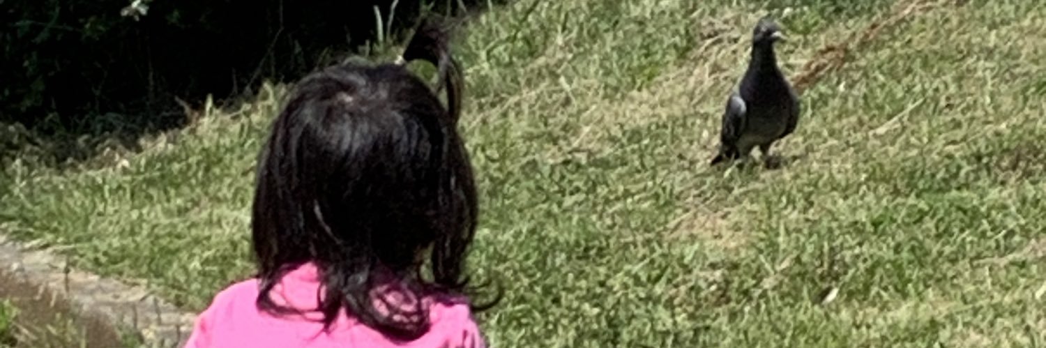 mmmfgo817's profile banner image
