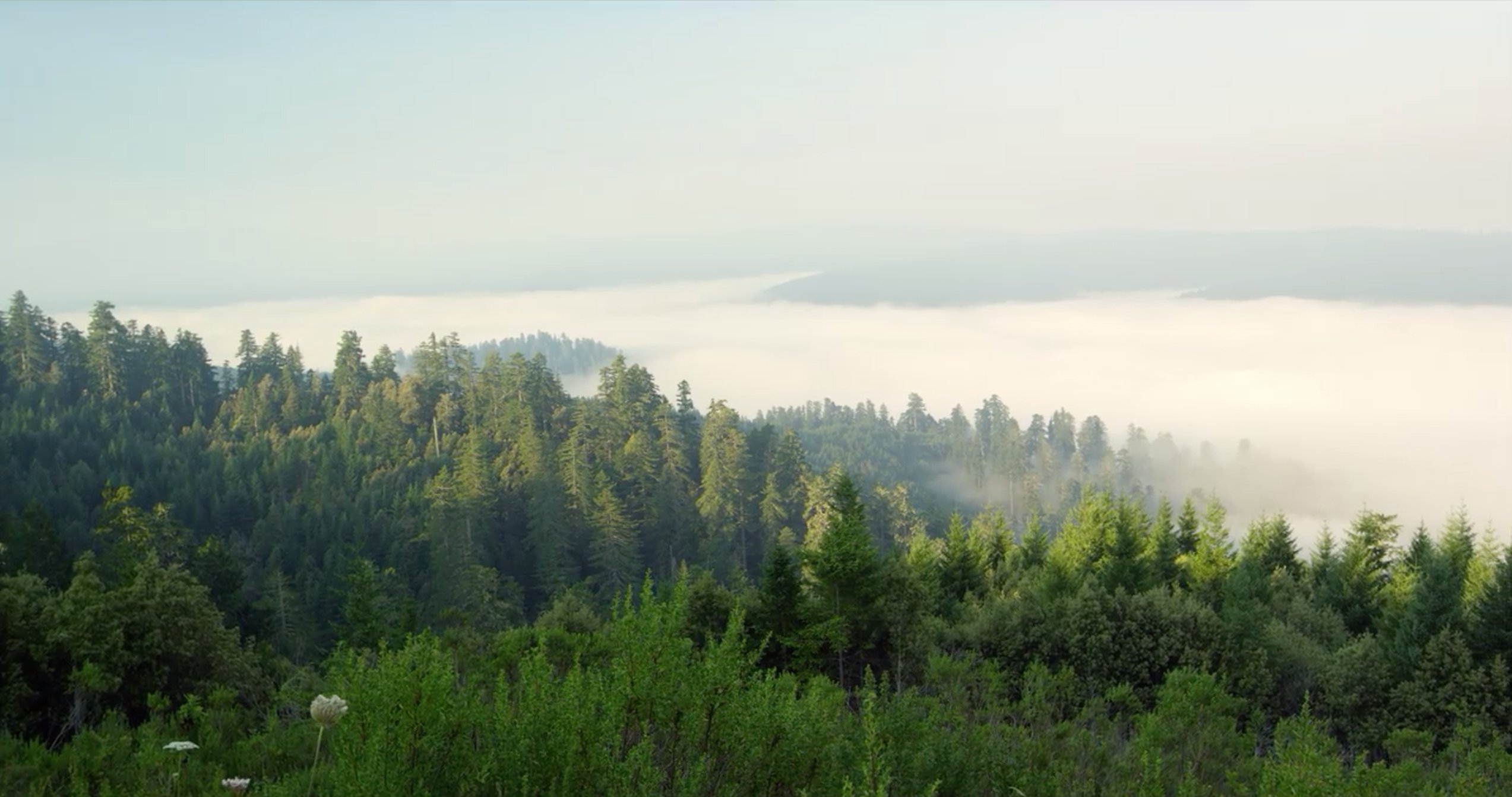 CO2 Revolution banner