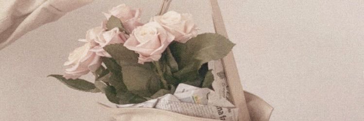 anisyuu_'s profile banner image