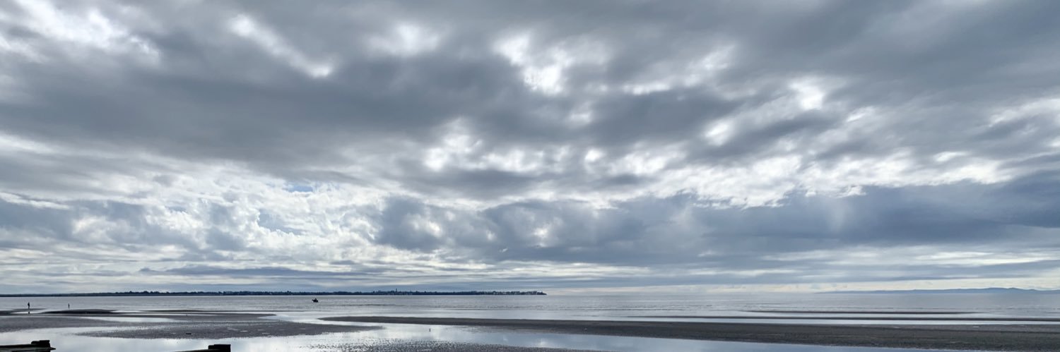 Matt banner
