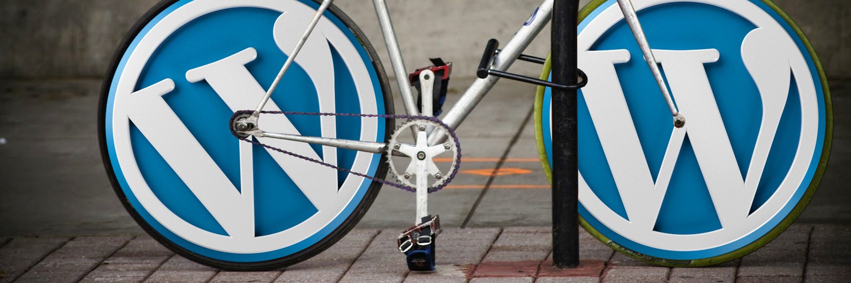 Metadata Management banner