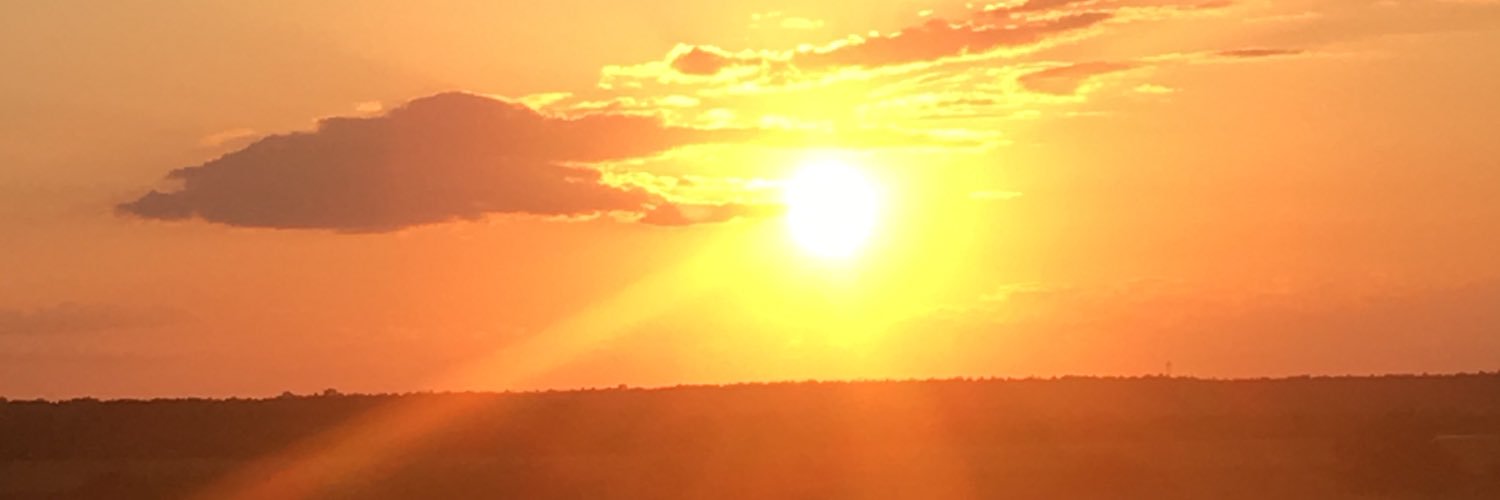 ter_bear10's profile banner image