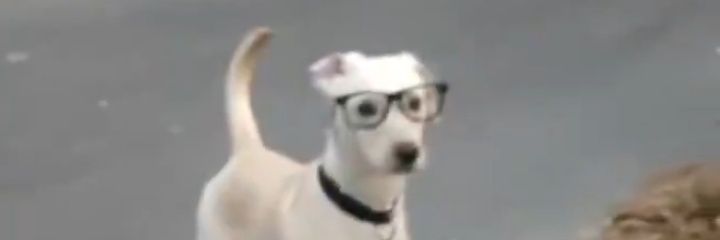 wtfmanuz's profile banner image