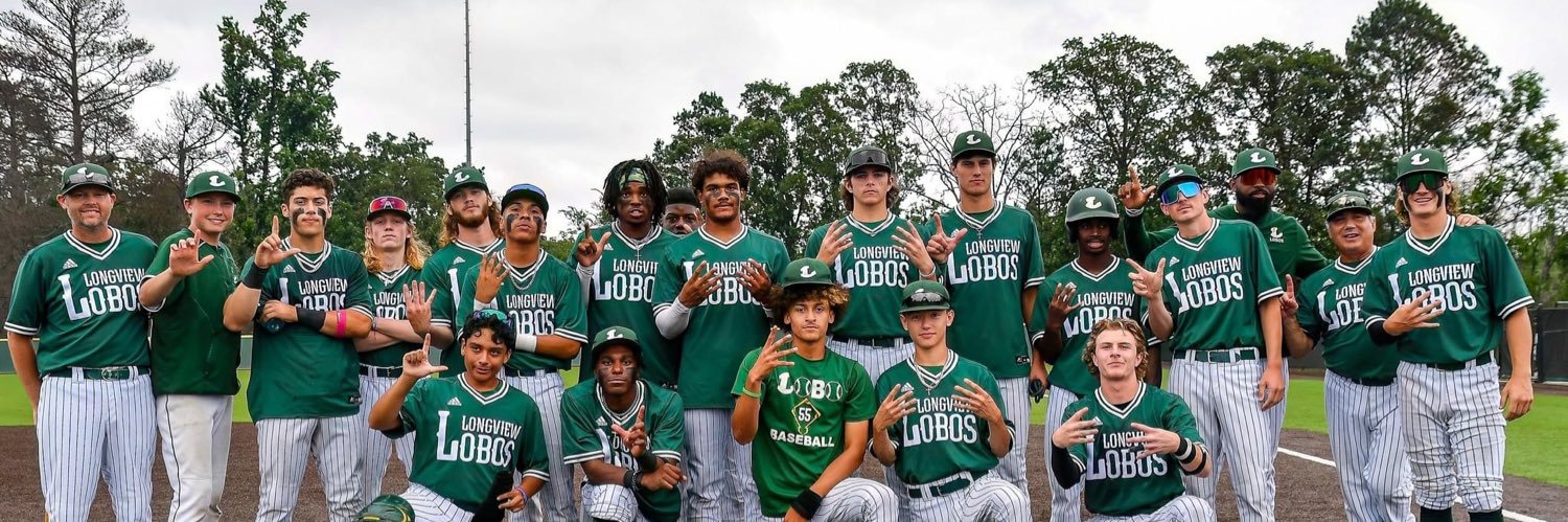 Longview Lobo Baseball banner
