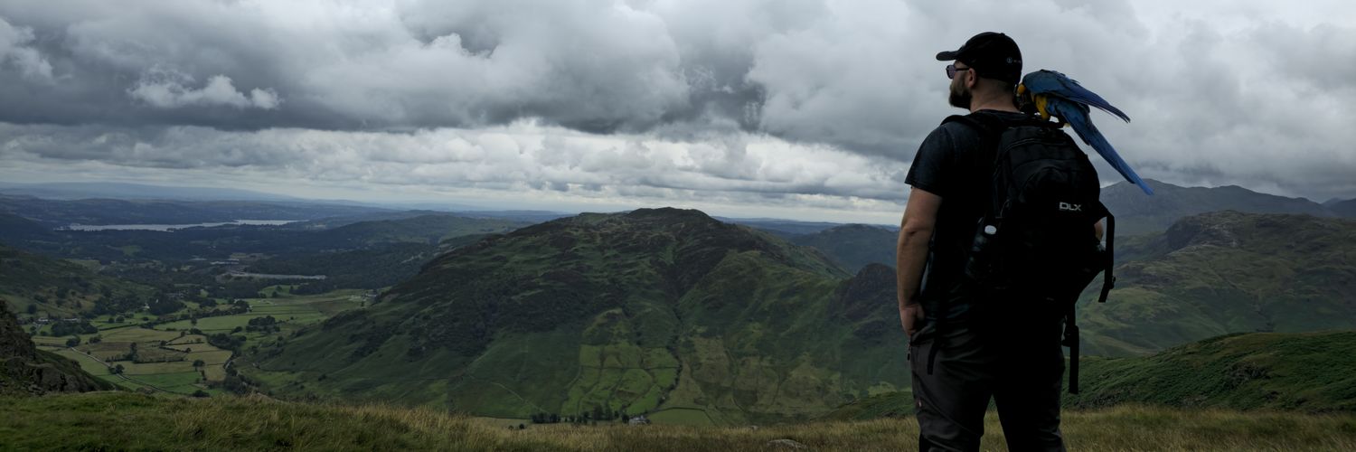 matt_arn's profile banner image