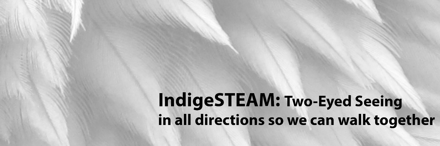 IndigeSTEAM banner