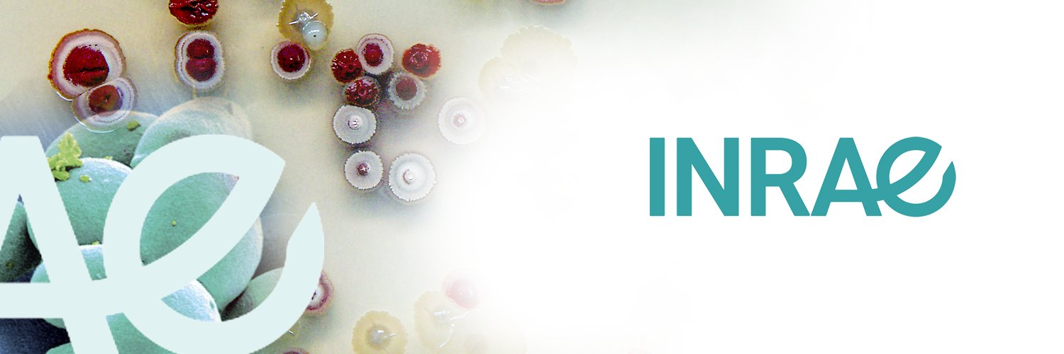 INRAE Microbiologie et Chaîne Alimentaire Profile Banner