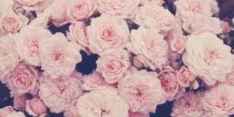 becayapyu's profile banner image