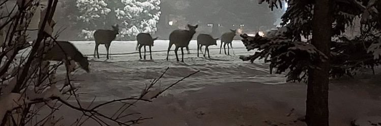 pafrn78's profile banner image