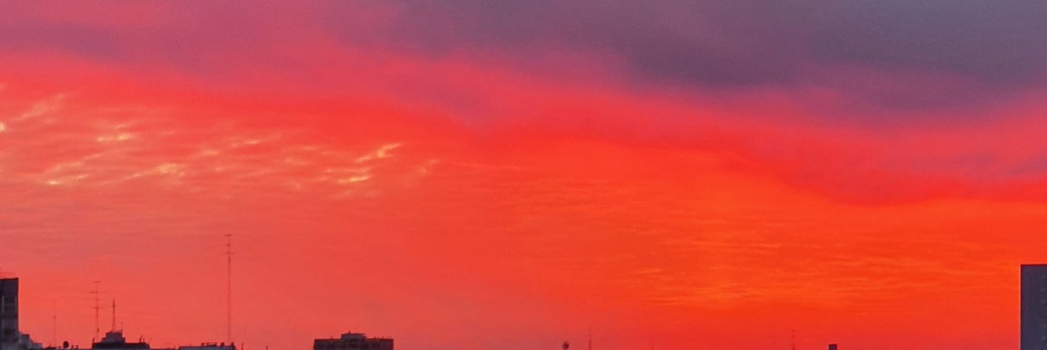 MishaCatCoin's profile banner image