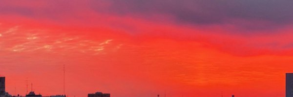 MishaCatCoin Profile Banner